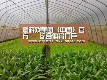 种植基地四