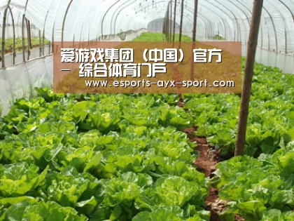 种植基地五