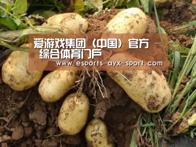 种植基地六