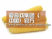 产品名称五