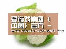 产品名称九