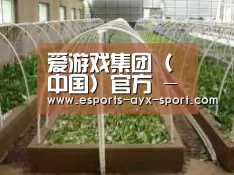 环境展示五