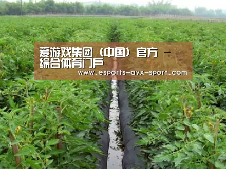 种植基地三