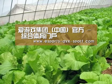 种植基地一