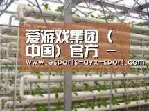 环境展示六
