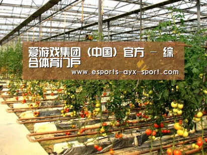 种植基地二(图1)