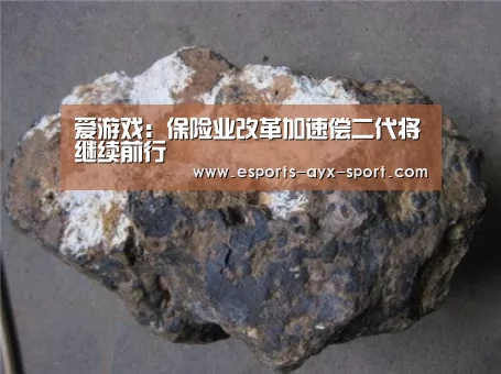爱游戏:保险业改革加速偿二代将继续前行(图1) 爱游戏官网