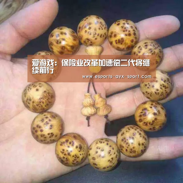 爱游戏:保险业改革加速偿二代将继续前行(图3) 爱游戏官网