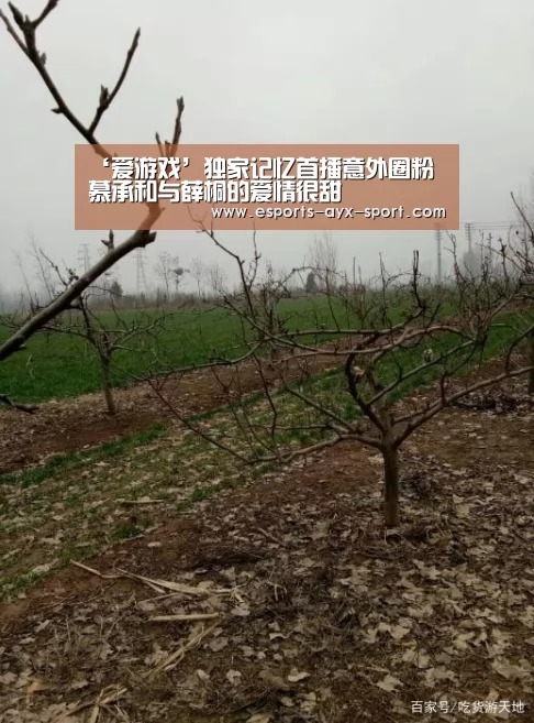 ‘爱游戏’独家记忆首播意外圈粉 慕承和与薛桐的爱情很甜(图4) 爱游戏体育