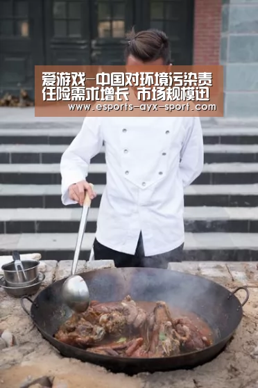 爱游戏-中国对环境污染责任险需求增长 市场规模迅速扩大(图1) 爱游戏体育