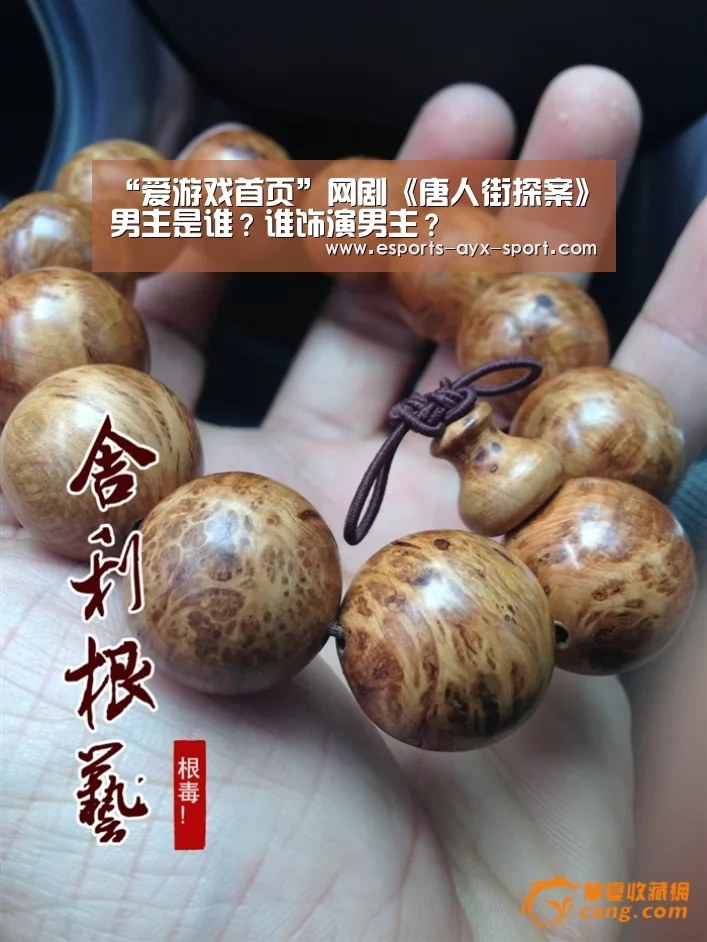 “爱游戏首页”网剧《唐人街探案》男主是谁?谁饰演男主?(图3) 爱游戏首页
