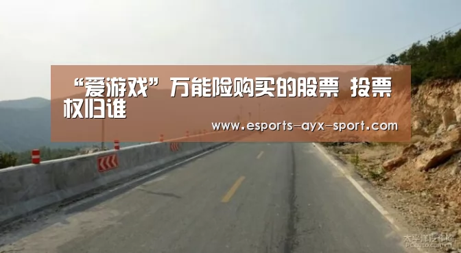 “爱游戏”万能险购买的股票 投票权归谁(图3) 爱游戏首页